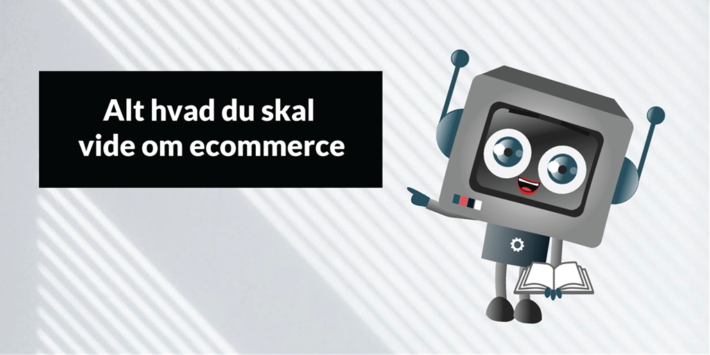 Overblik: Alt hvad du skal vide om ecommerce i 2019!